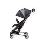 Zippy stroller