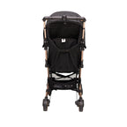 Zippy stroller